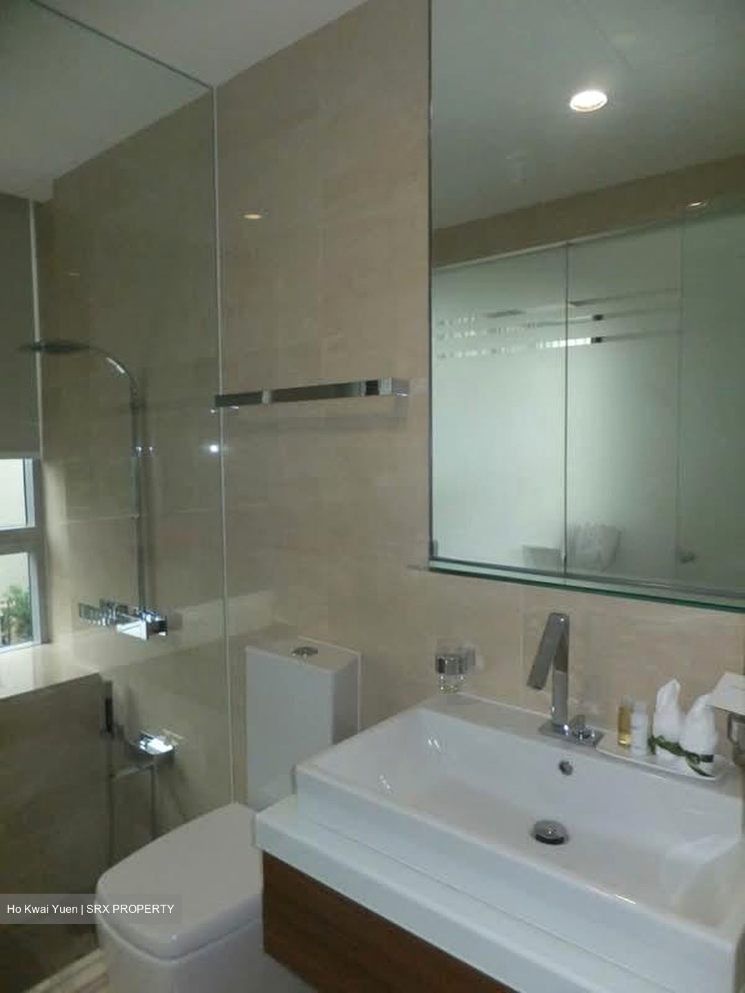 Jardin (D21), Condominium #551354151